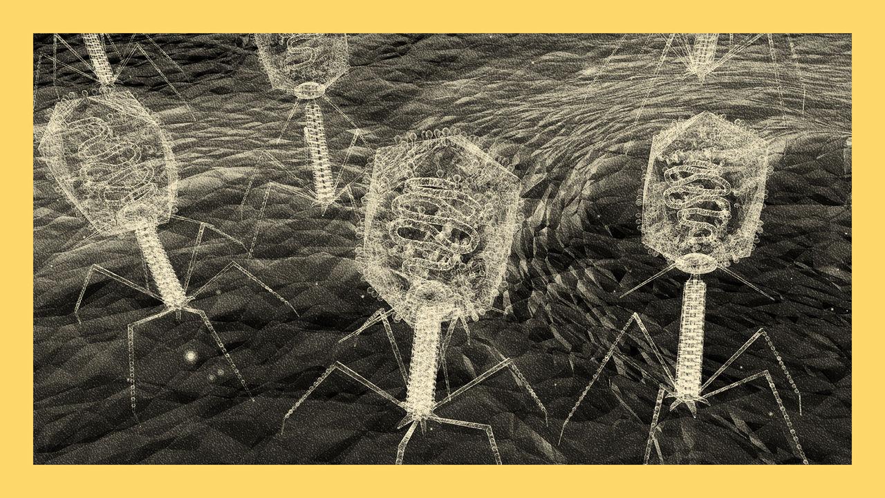 Turning the phage: viruses that can kill superbugs (revisited)